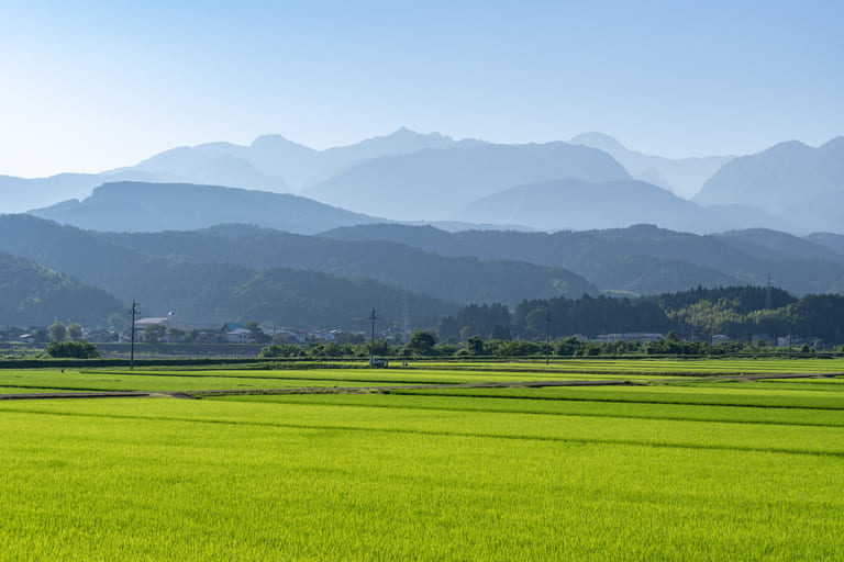 新潟県で今行くべき観光地リスト