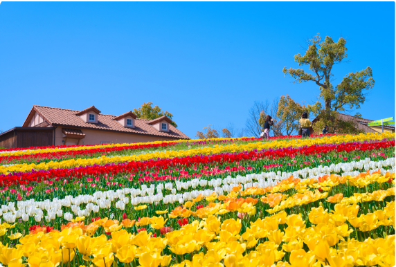 堺・緑のミュージアムハーベストの丘