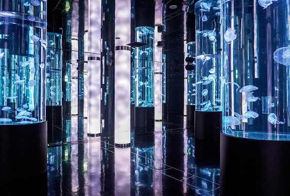 DMM かりゆし水族館